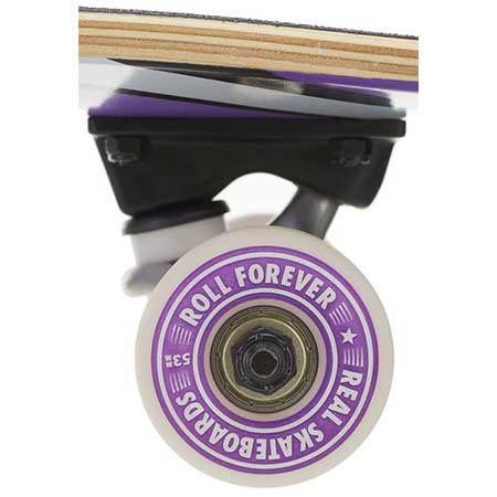 skate_debutant_adulte_real_roues_golden_coast_surfshop